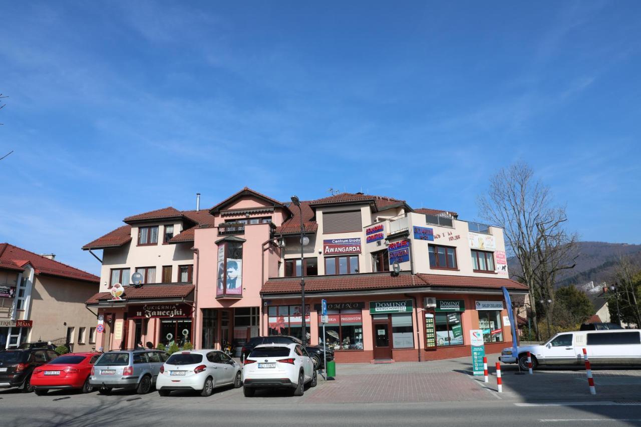 Czantoria View Apartment Устронь Экстерьер фото